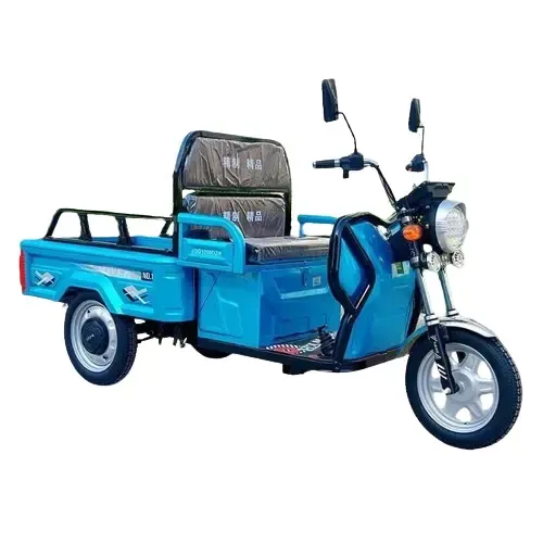 Electric Tricycles Can Carry Both People And Goods. suppliers